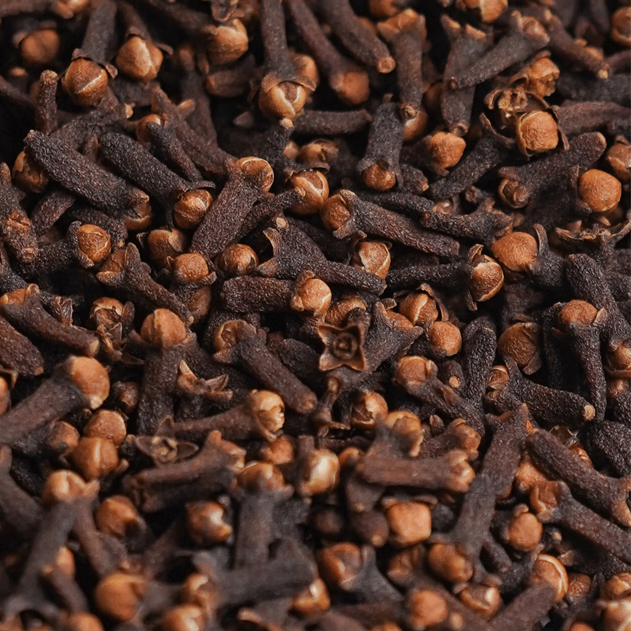 Cloves