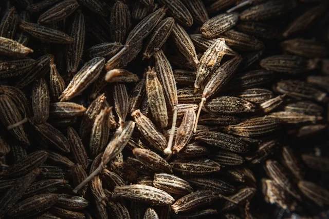 Cumin Seed