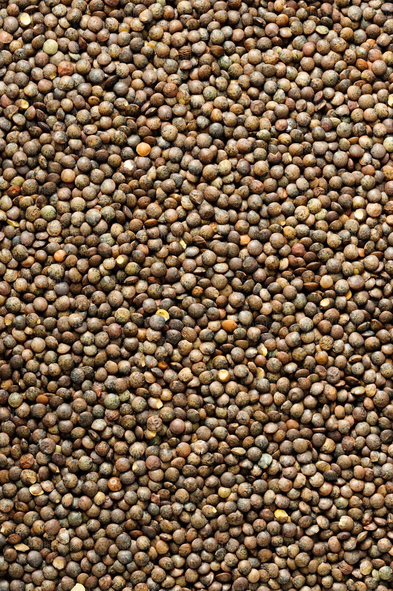 Mustard Seeds