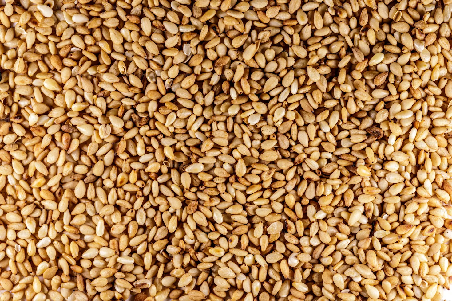 Sesame Seeds